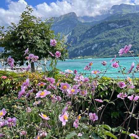 Chalet Romantica Carpe Diem Best View Best Location เบรียนส์ ภายนอก รูปภาพ